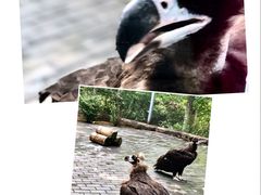 -沈阳鸟岛