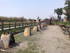 -田园东方蜜桃村的田野营地