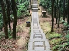-莲花山公园
