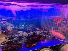 -欢聚烤吧(朱辛庄TBD万科店)