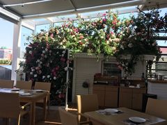 -辛德勒啤酒德餐厅