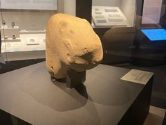 -安徽省地质博物馆