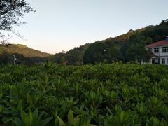 -石燕湖生态旅游景区