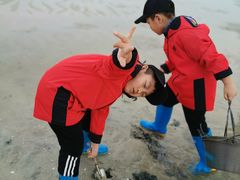-红树林天天赶海