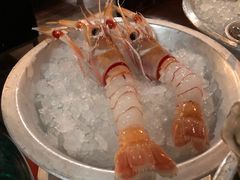 -斯普汇生蚝牛排馆(中骏世界城店)