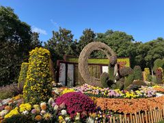 -上海共青森林公园