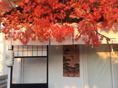 -Blue Concept Cafe&Farm·關於藍