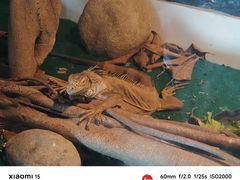 -泉州海丝野生动物世界