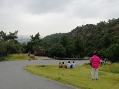 -白马涧龙池景区