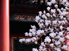-颐和园