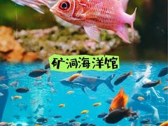 -长鹿旅游休博园