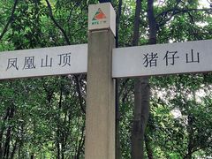 -火炉山森林公园