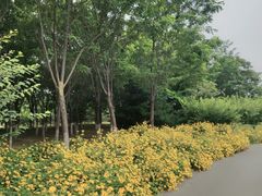 -永定河休闲森林公园