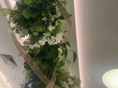 -Aqua Oasis 水天堂(太湖中心mall店)