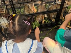 -马陆小张葡萄园农家乐