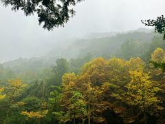 -青城山