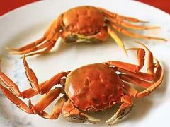 -银帆宾馆-自助餐厅(金马路店)