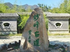 -阳台山自然风景区