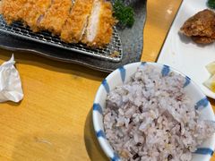 -胜博殿日式炸猪排(西红门店)