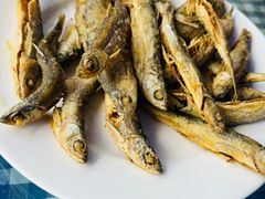 -穆湖渔村饭庄·住宿·钓鱼