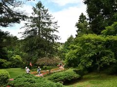 -庐山风景区花径公园