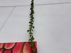 -中国湿地博物馆