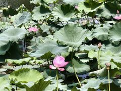 -苏州吴中太湖旅游区