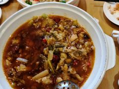 -朝郡酒家·粤菜(燕大星苑店)