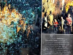 -怀托摩萤火虫洞