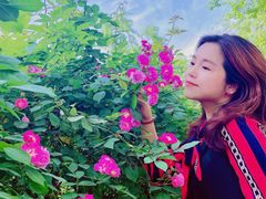 -百林公园-两江幸福广场