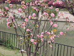-东水关遗址公园