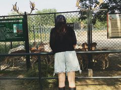 -北京麋鹿生态实验中心