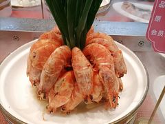 -松沪名灶·豆浆鱼头·新上海菜(江川路交大店)