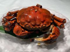 -南堂馆·新川菜(春熙路店)