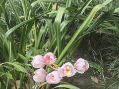 -成都杜甫草堂博物馆