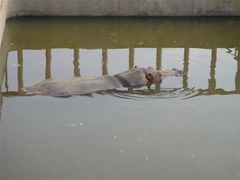 -青藏高原野生动物园