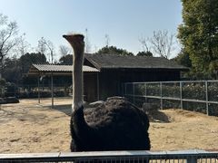 -苏州上方山国家森林公园
