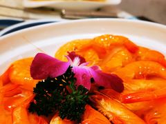 -若爱猪肚鸡·啫啫煲(循礼门M+店)