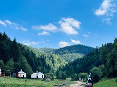 -芦芽山旅游度假区