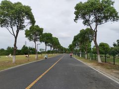 -漕湖湿地公园