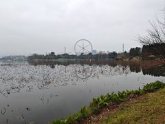 -庾园