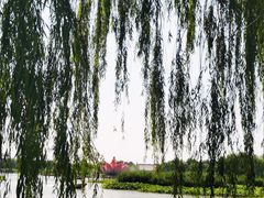 -白洋淀景区