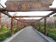 -南汇桃花村