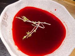 -潘小辣鲜肉老火锅