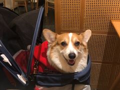 -湘拾(壹方北馆店)