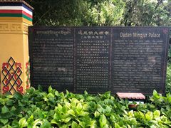 -罗布林卡