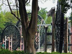 -厦门园林博览苑