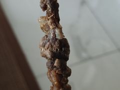 -马记伊源斋涮肉·清真菜(百子湾店)