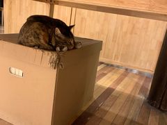 -猫的天空之城概念书店(杭州南宋御街店)