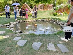 -HERRE·FARM 赫尔露营农场·团建聚会包场